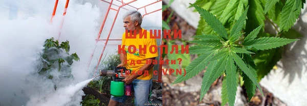 амф Навашино
